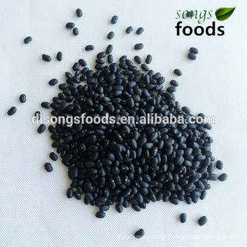 Hot Selling Canned Black Beans